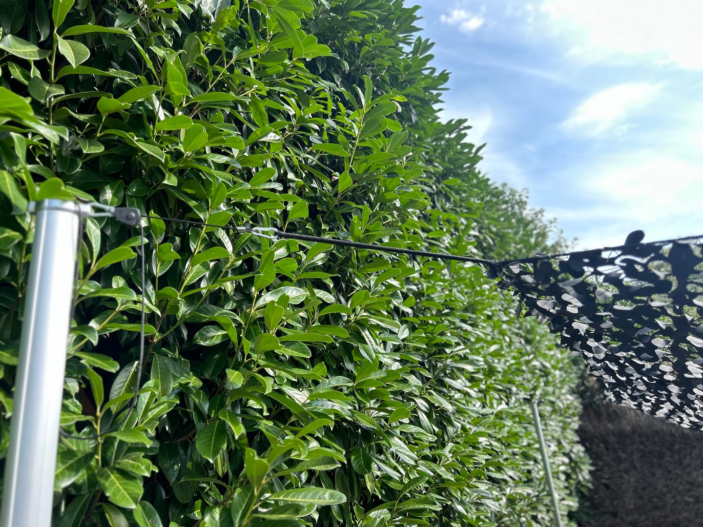 cuerda con trinquete